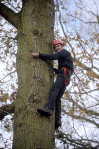 treeClimb