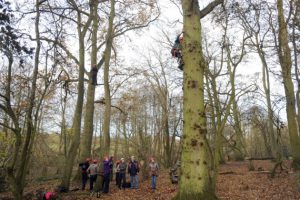 treeClimb1